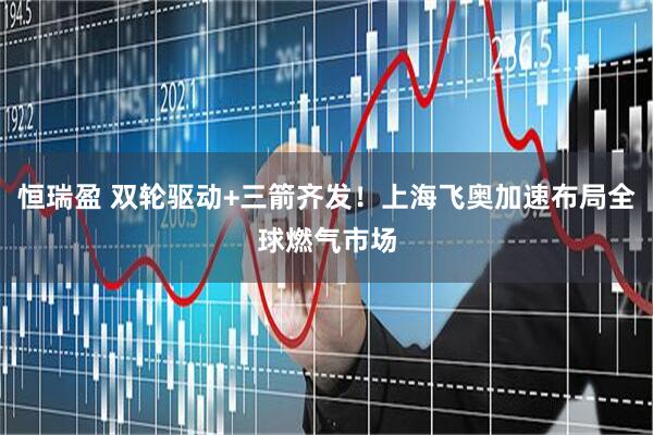 恒瑞盈 双轮驱动+三箭齐发！上海飞奥加速布局全球燃气市场