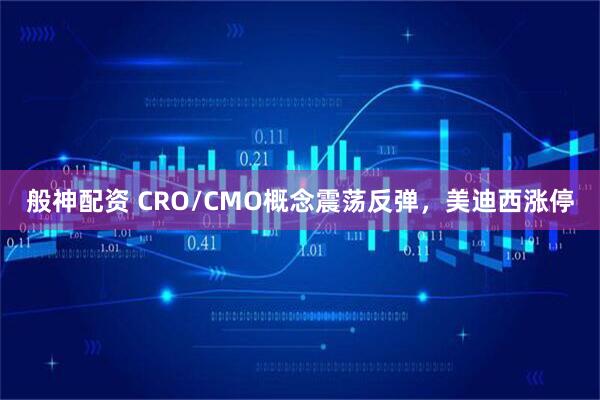 般神配资 CRO/CMO概念震荡反弹，美迪西涨停