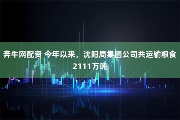 奔牛网配资 今年以来，沈阳局集团公司共运输粮食2111万吨