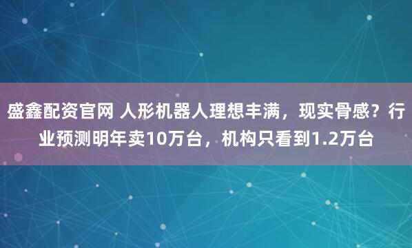盛鑫配资官网 人形机器人理想丰满，现实骨感？行业预测明年卖10万台，机构只看到1.2万台