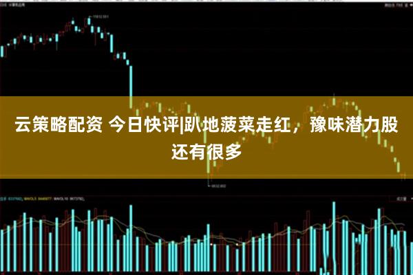 云策略配资 今日快评|趴地菠菜走红，豫味潜力股还有很多