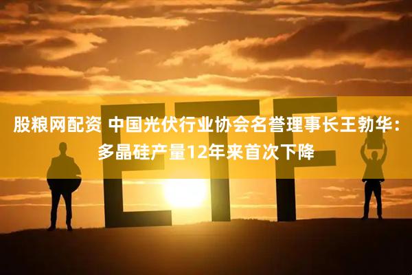 股粮网配资 中国光伏行业协会名誉理事长王勃华：多晶硅产量12年来首次下降